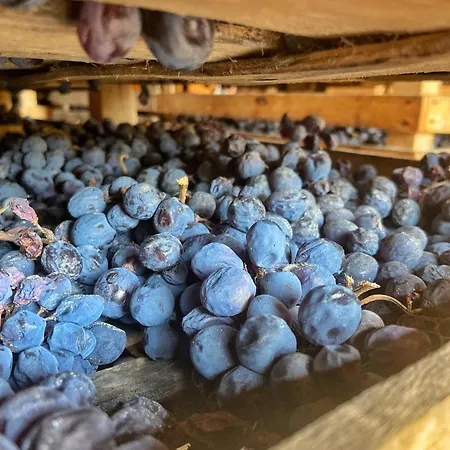 Фермерский дом La Vineria Di San Mattia *
