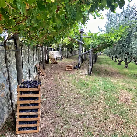 La Vineria Di San Mattia Фермерский дом Верона